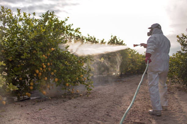 Best Best Pest Control Companies  in Belwood, NC