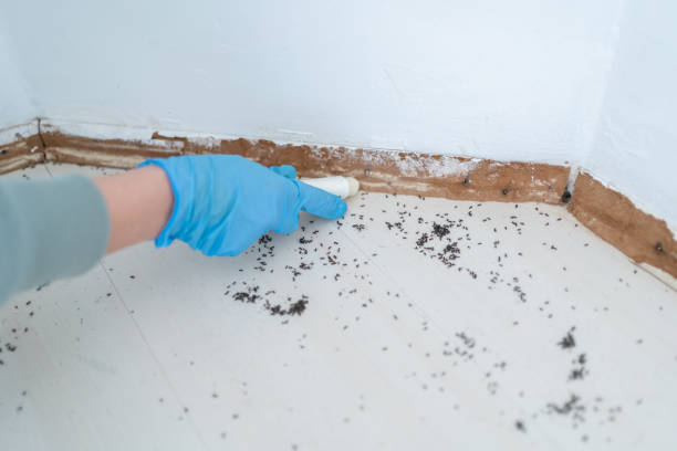 Best Pest Inspection Near Me  in Belwood, NC